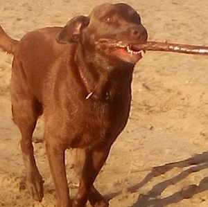 Meet your Posher, Jonathan villa